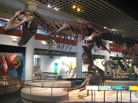 List of 10 Best Natural History Museums in the World