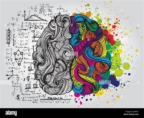 Left and right human brain. Creative half and logic half of human mind. Vector illustration ...