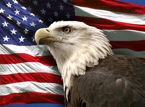 American Flag with Eagle Wallpaper - WallpaperSafari