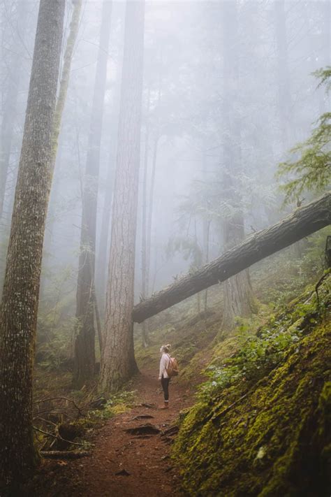 Exactly What To Expect on Mount Storm King Trail - The Mandagies