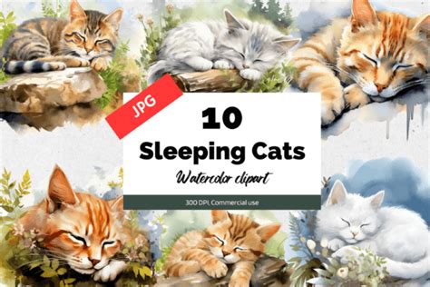 10 Watercolor Sleeping Cat Clipart JPG Graphic by KiwiCakeStudio ...