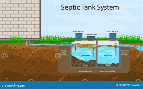 Septic Tank Diagram. Septic System and Drain Field Scheme. Stock Vector ...