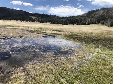 Celebrating 20 Years of the Valles Caldera National Preserve – Caldera ...