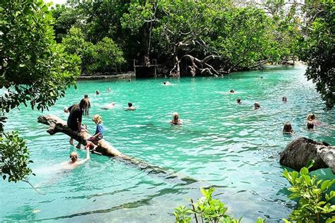 Blue Lagoon | Port vila, Island blue lagoon, South pacific islands