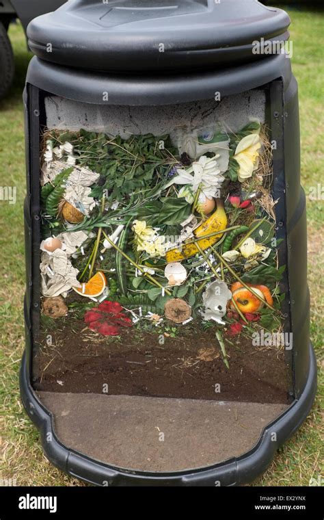 Cut away inside of Compost Bin Composting Recycle Stock Photo: 84888214 - Alamy