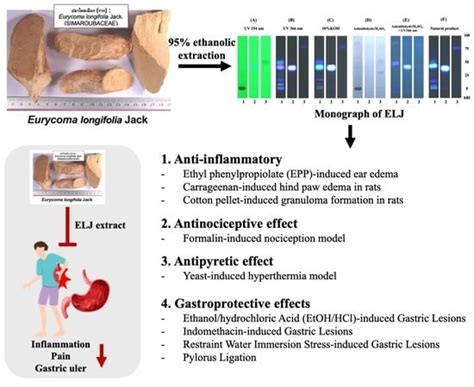 Life | Free Full-Text | Anti-Inflammatory, Antinociceptive, Antipyretic ...