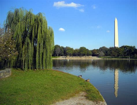 Constitution Gardens - Washington DC