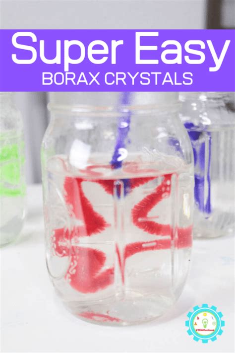 Easy Borax Crystals Science Project Perfect for a Science Fair