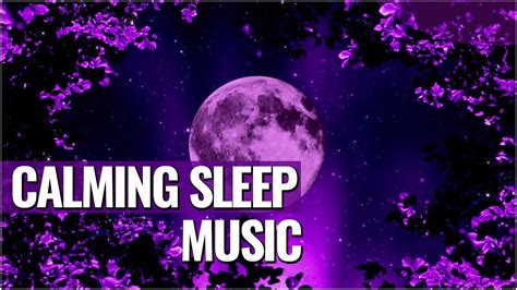 Calming Sleep Music | Music to Relax | Meditation Music - YouTube Music