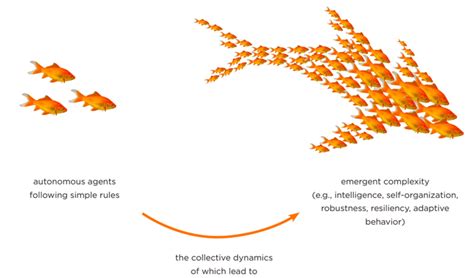 Systems Thinking Is A Complex Adaptive System (CAS)