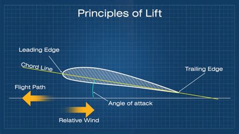 Chord Line in Aviation? What it Is and Why It is Important - Pilot Institute