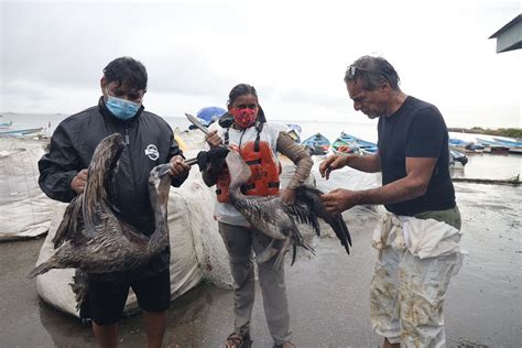 Paria says oil spill contained, fishermen still upset - Trinidad Guardian