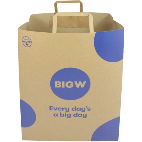 BIG W Paper Shopping Bag | BIG W