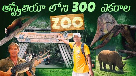 brisbane australia city tour | Steve irwin zoo australia - YouTube