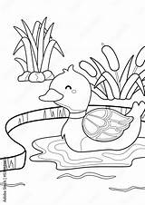 Cute Duck Pond Animal Coloring Pages A4 For Kids And Adult Stock  sketch template