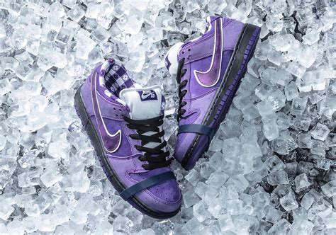 Percée Relation Distraction nike sb lobster purple estomac mon chéri un ...