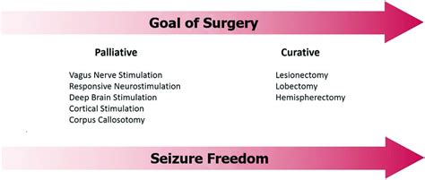 Surgical Neurology International