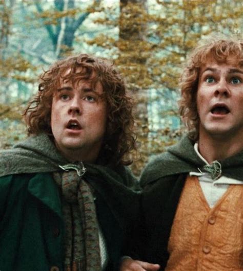 Pippin i Merry | Lord of the rings, Merry and pippin, The hobbit