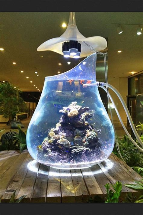 Futuristic Aquarium | Cool fish tanks, Cool fish, Aquarium fish tank