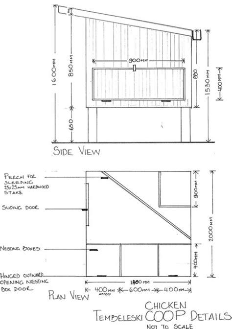 Chicken Coop Build: Easy Chicken Nesting Box Dimensions