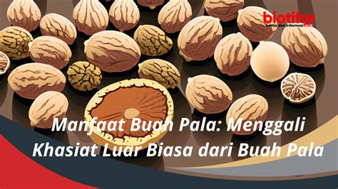 Manfaat Buah Pala: Menggali Khasiat Luar Biasa dari Buah Pala - Biotifor