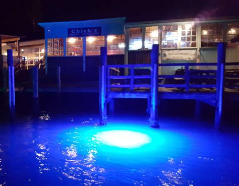 24,000 Lumen LED Dock Lights | Easy Plug-in and Toss-in | Veteran Owne