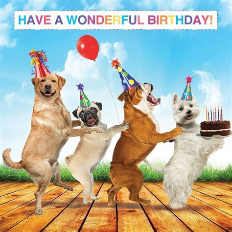 Funny Happy Birthday Images With Dogs - Castillo Sularoat