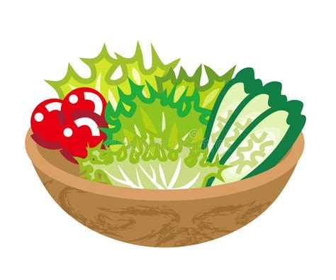 Freshness Salad stock vector. Illustration of cucumber - 85838236