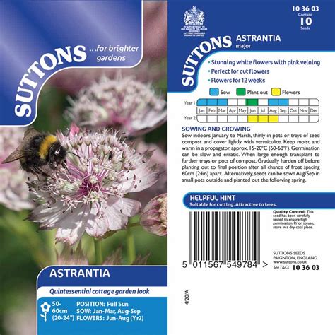 Astrantia - Seeds | Suttons