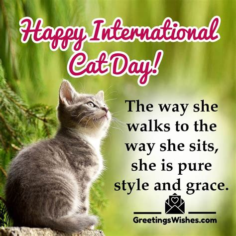 International Cat Day Messages And Quotes (8th August) - Greetings Wishes