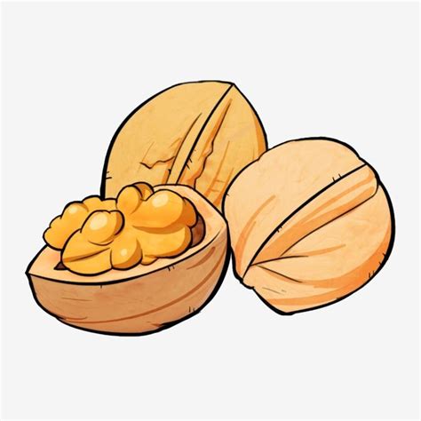 Nut Walnut Cartoon Snack, Nut Clipart, Snacks, Nuts PNG Transparent Clipart Image and PSD File ...