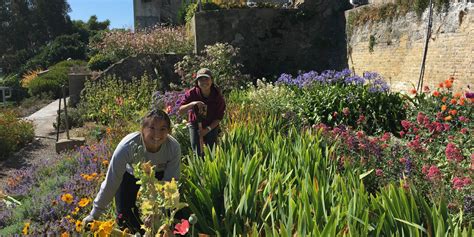 Alcatraz Historic Gardens | Golden Gate National Parks Conservancy