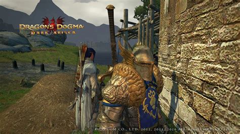 Dragons Dogma Dark Arisen Mods