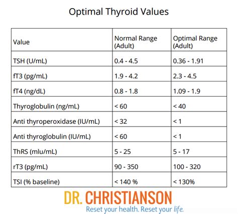 Optimal Thyroid Levels for Weight Loss & Energy | Dr. Christianson