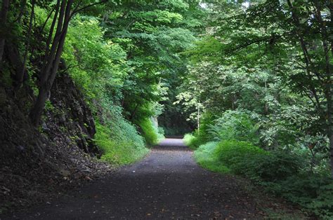 New River Trail State Park - Step Into Blacksburg