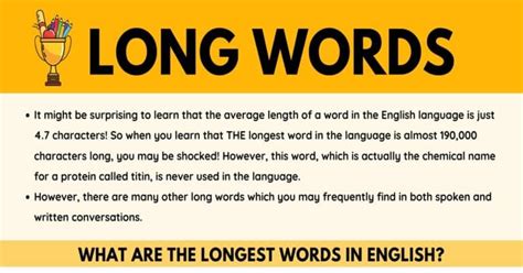 Longest Words in English: 19 Unusually Long Words • 7ESL