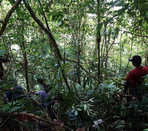 Mindoro Forest and Biodiversity Conservation Programme - Center for Conservation Innovation Ph Inc.