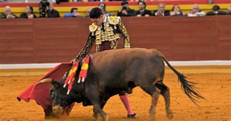 Rules of bullfighting: All you need to know about this extreme sport ...