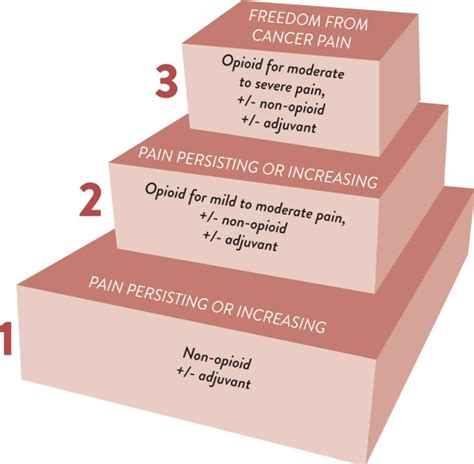 Pain Management and Other Clinical Use