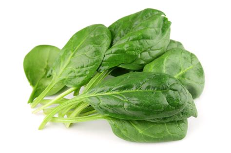 Spinach Extract - Krishana Enterprises