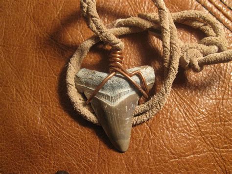 Fossilized Shark Tooth Pendant on Handmade Leather