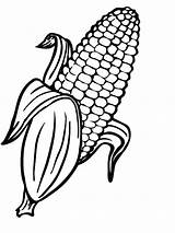 Corn Coloring Page At GetColoringscom  Free Printable Colorings Pages sketch template