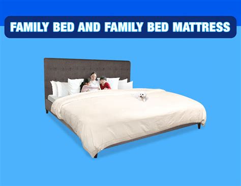 Family Bed Mattress-(Many Choices and Sizes)