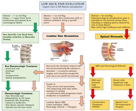 Low Back Pain - Medical Care One