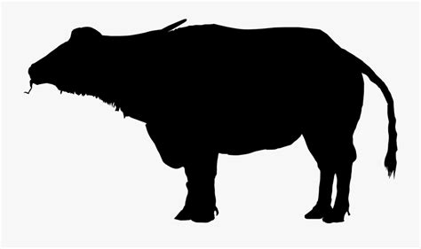 Water Buffalo Clipart Silhouette - Buffalo Transparent Background , Free Transparent Clipart ...