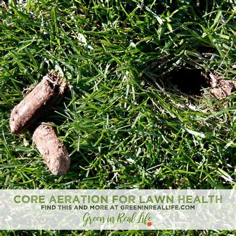 Core Aeration for Improved Lawn Health - Green in Real Life