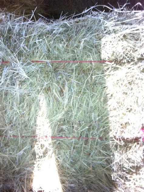 Cattlemen's Purchasing Group: Bermuda Grass Hay