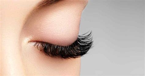 Eyelash Extensions Harbor Lice, Here's What You Need To Do