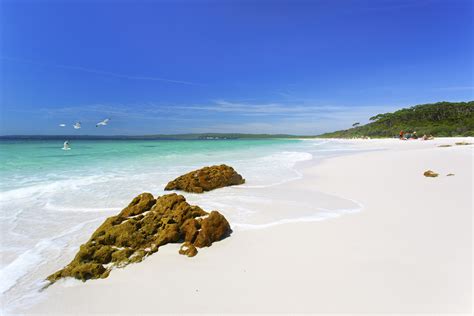 Hyams Beach - Jervis Bay Tourism