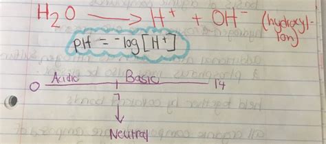 Properties of water Diagram | Quizlet